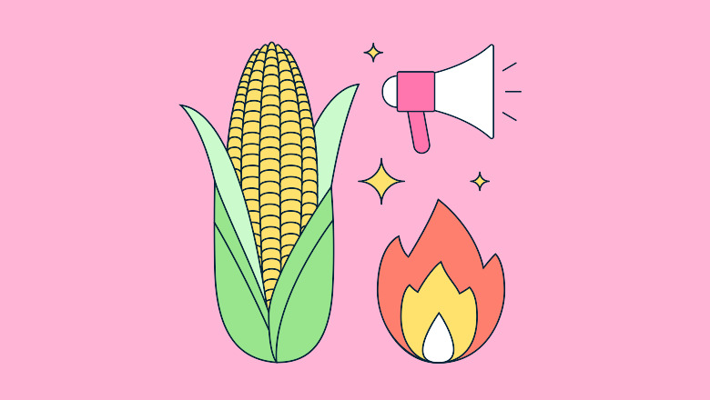 corn-kid.jpg